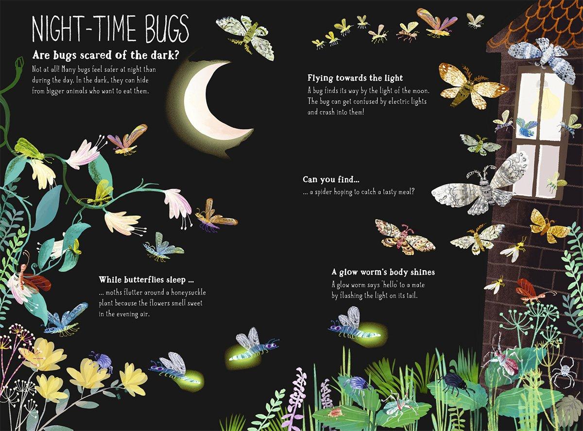 Image result for big book of bugs zommer