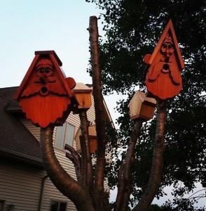First Bird House