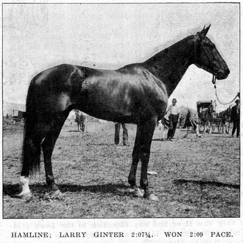 Larry Ginter in The Horse Review 