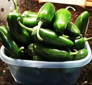 Jalapeno Peppers from the Iowa City Farmer