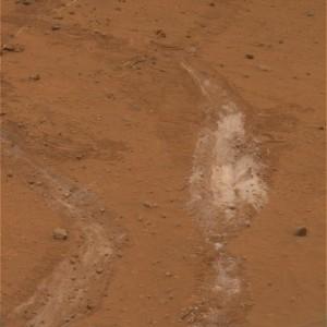 Silica Rich Soil