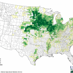 corn-map