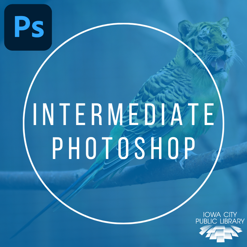 Intermediate Photoshop