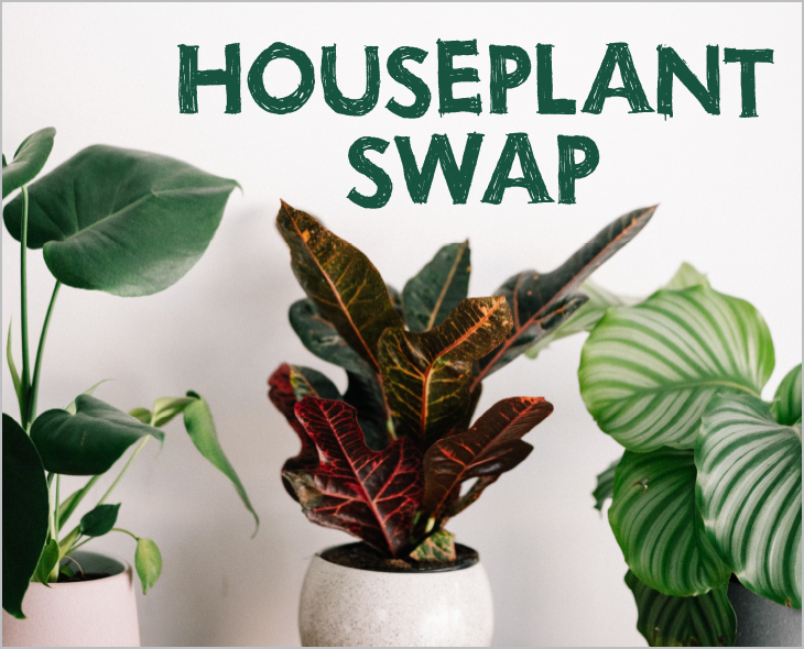Houseplant Swap and Prairie Seed giveaway | Iowa City Public Library