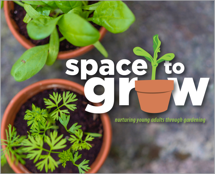 Space to grow