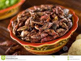 cooked grasshoppers