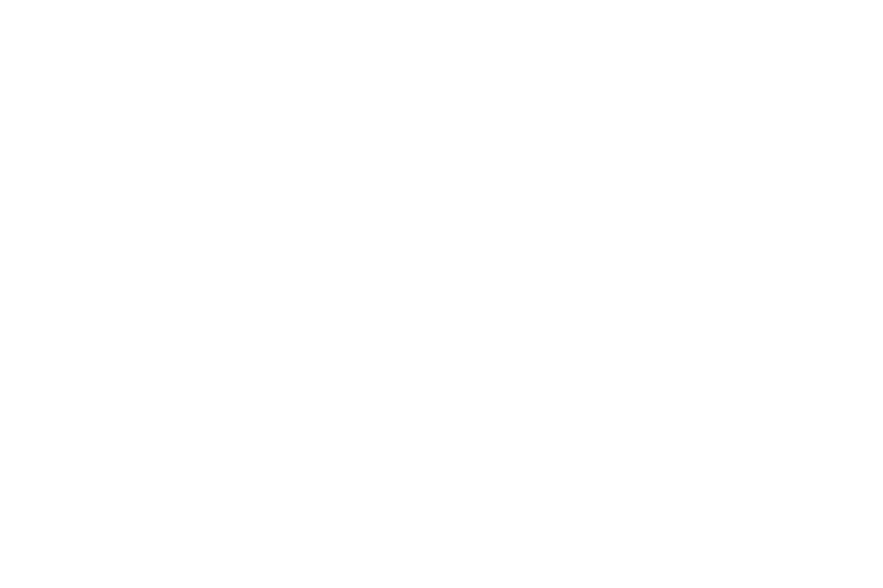 Mission Creek Festival logo image