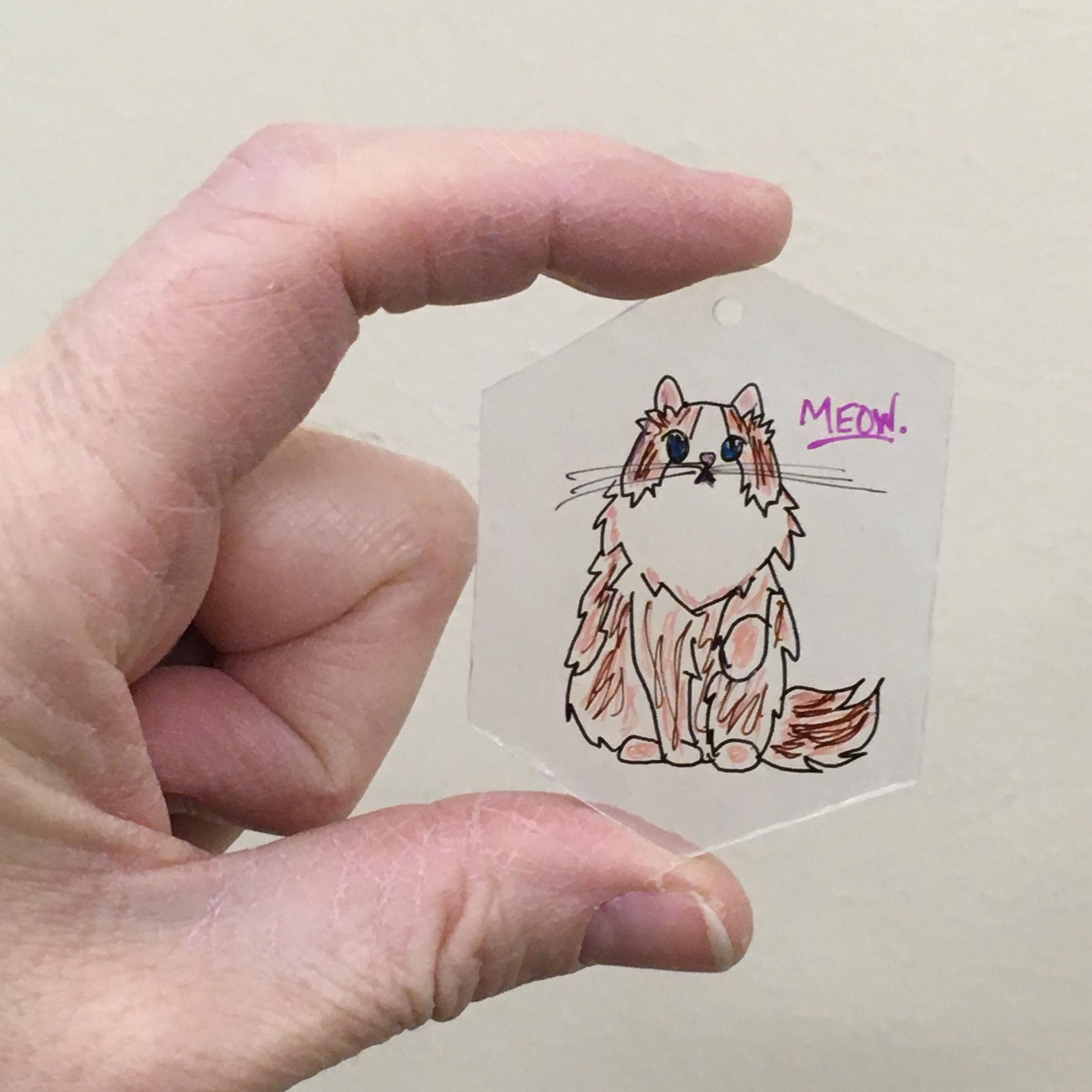 A shrinky dink of a cat