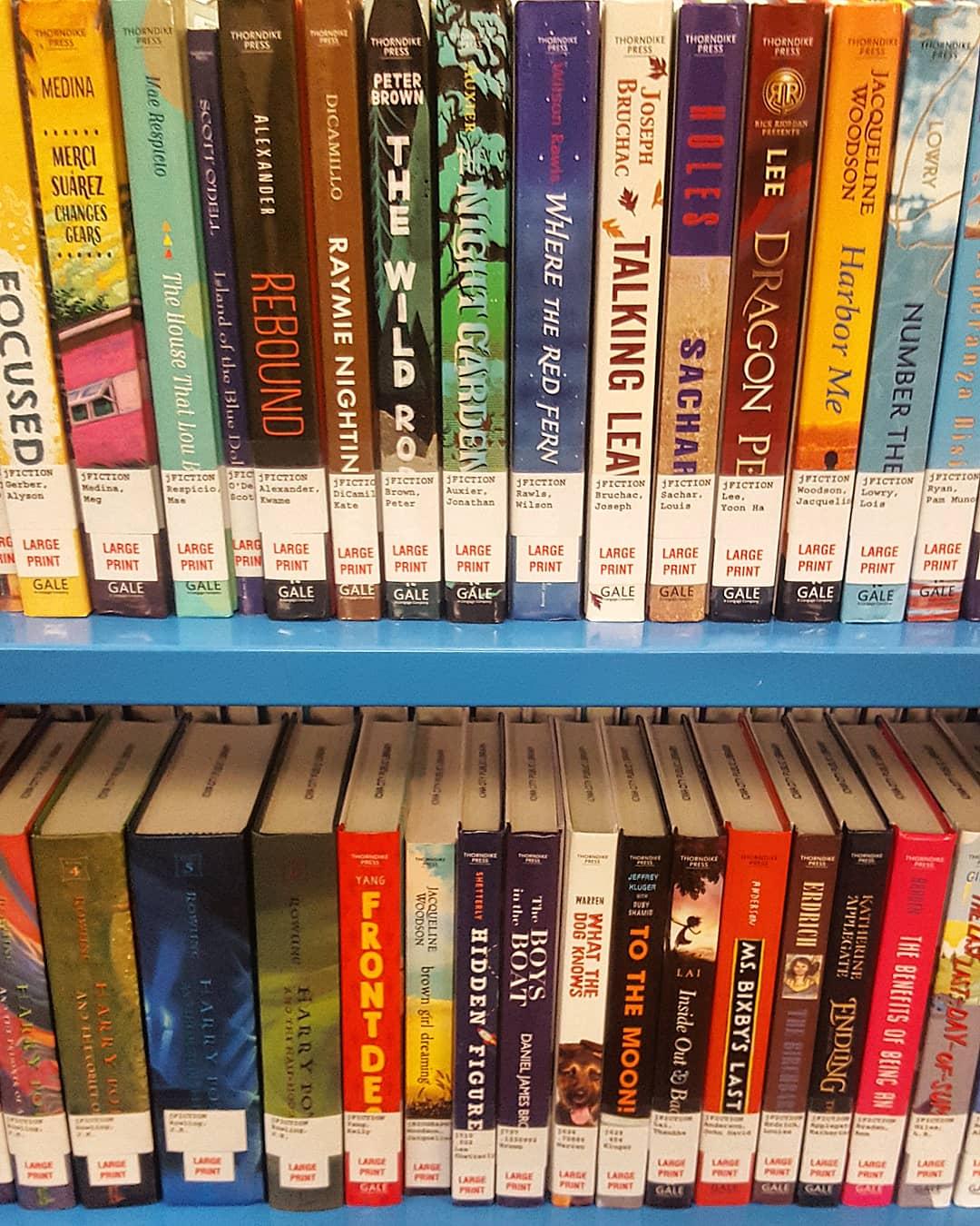 row of large print books