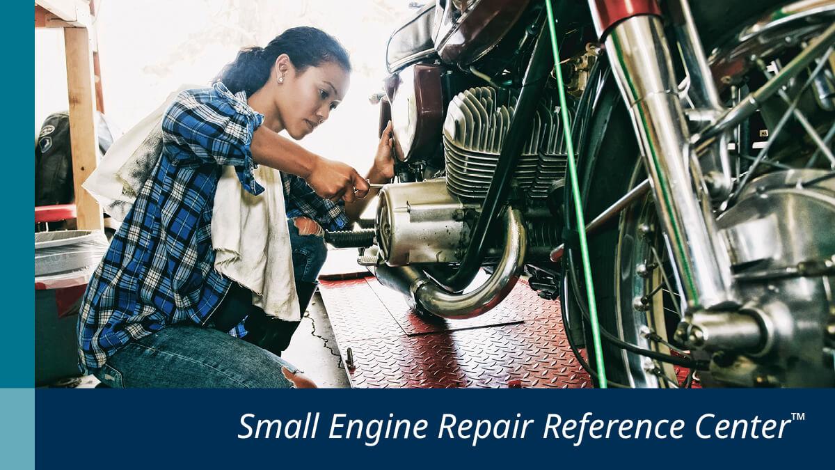 Small Engine Repair example
