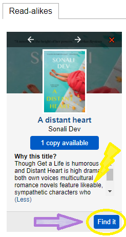 Cover and description of A Distant Heart by Sonali Dev