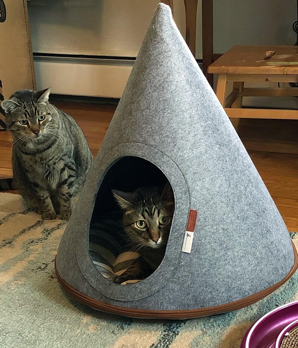 cat in a teepee made for cats