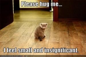 smallkitty