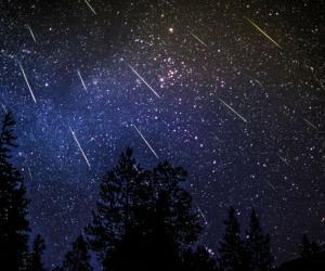 perseid shower