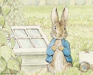 peterrabbit_peter_1280