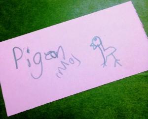 pigeon