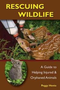 rescuing wildlife