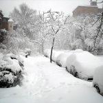 snowfall
