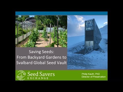 Saving seeds : from backyard gardens to the Swalbard Seed Vault