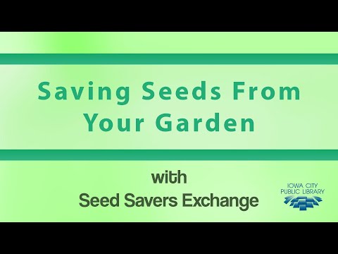 How to save seeds from your own garden with Seed Savers Exchange