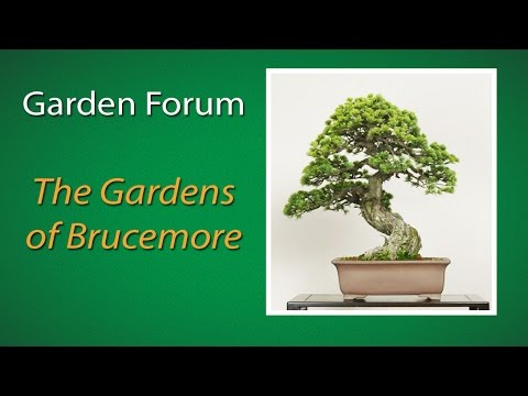 The gardens of Brucemore